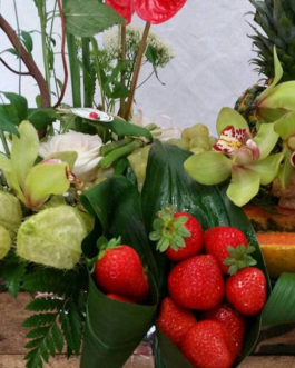 TUTIFRUTI