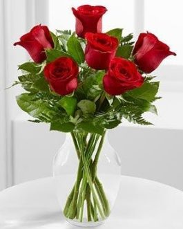 6 Rosas